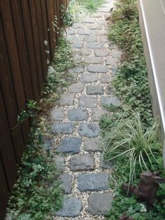 a brick path between two fences with plants growing on the sides and in between them