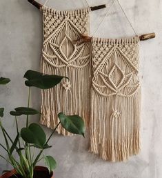 two macrame wall hangings on a white wall next to a potted plant