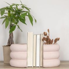 two books are sitting on a shelf next to a potted plant and an open book