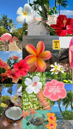 a collage with flowers and signs on it