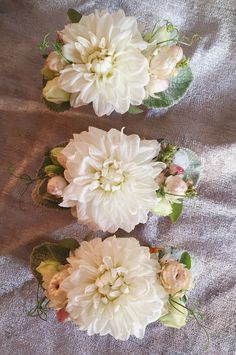 three white flowers sitting on top of a table