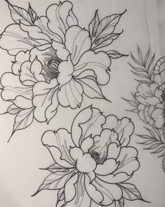 a drawing of some flowers on a sheet of paper with black and white pencils