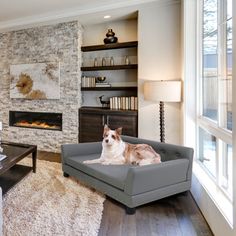 a dog is sitting on a couch in the middle of a living room with a fireplace