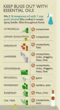 Oil Remedies, Diy Kosmetik, Yl Essential Oils, Essential Oil Mixes, Bug Spray, Bug Repellent, Oil Mix