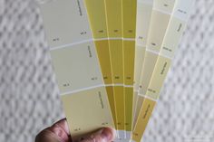 a person holding some yellow and white paint samples