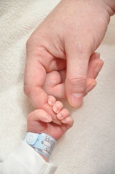 a baby's hand holding the finger of its mother