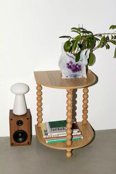 a wooden table with a plant and speakers on it