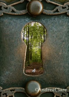 an open keyhole in the middle of a forest with a dog looking at it