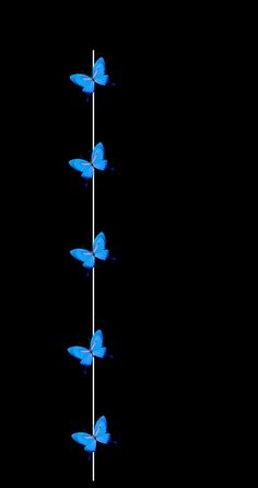 four blue butterflies sitting on top of a white pole in the dark with no one around them