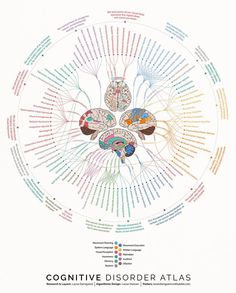 the brain diagram shows different areas of the human's nervous system, including their major functions