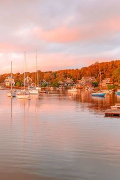 several boats are docked in the water near houses and trees with orange leaves on them