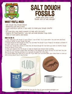 an advertisement for salt dough fossils with instructions on how to make them and how to use it