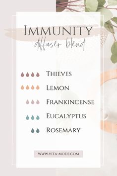 Immunity Diffuser Blend, Immunity Essential Oils, Diffuser Blends Young Living, Nontoxic Living, Living Oils Recipes, Cleaner Living, Aromatherapy Essential Oils, Motherhood Lifestyle