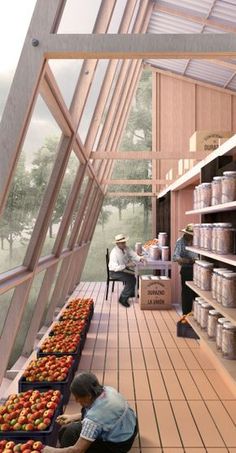 an artist's rendering of a man picking apples from shelves in a fruit store