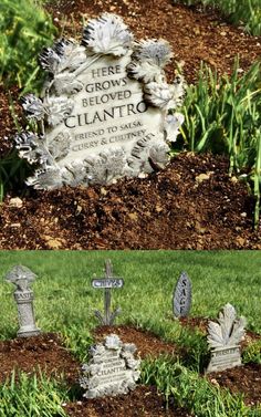 two graves in the ground with grass and dirt around them