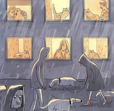 an image of people walking in the rain with cats and dogs looking at them through windows