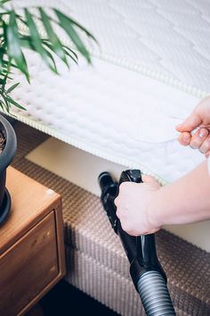 a person using a vacuum to clean a bed with a mattress in the background and a potted plant next to it