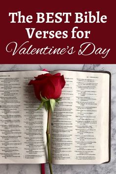 the best bible verses for valentine's day with a red rose on top