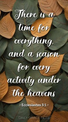 leaves with the words, there is a time for everything and a season for every activity under