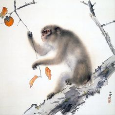 a monkey sitting on top of a tree branch next to leaves and an orange ball