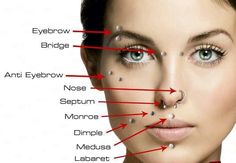 a woman's face with arrows pointing to her nose and the names of all parts