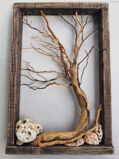 a tree with branches and shells in a wooden frame