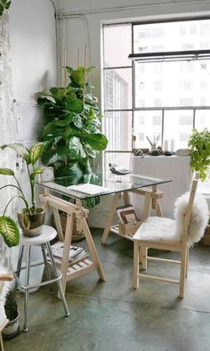 two chairs and a table in front of a window with potted plants on the windowsill