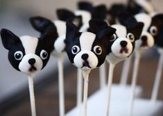 small black and white dogs are on top of toothpicks in the shape of sticks