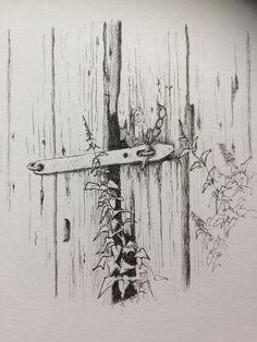 a pencil drawing of a wooden fence with vines growing out of it and a knife stuck in the wood