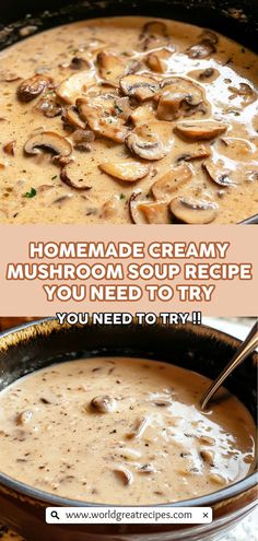 creamy mushroom soup recipe that you need to try