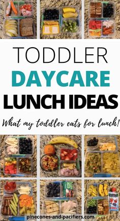 toddler day care lunch ideas with text overlay