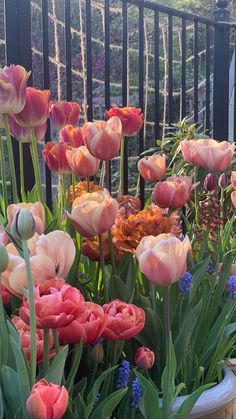 many different colored flowers in a pot on the ground next to a fence and black iron railing