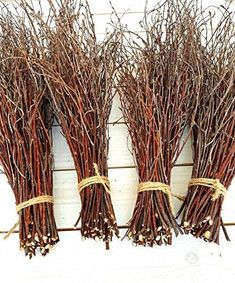 four bundles of dried twigs tied together