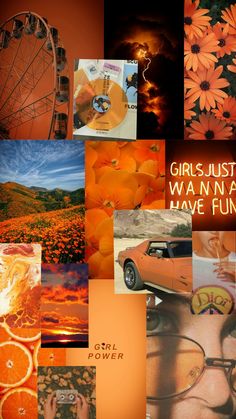 a collage of pictures with oranges, flowers and ferris wheel in the background