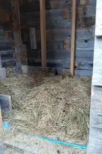 the inside of a barn with hay on the floor and in the back ground, there is a chicken coop