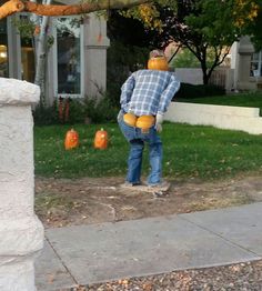 a man in plaid shirt and jeans standing on sidewalk next to pumpkins with faces painted on them