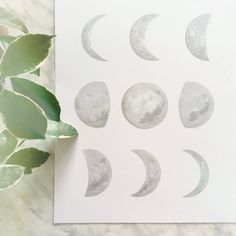 the phases of the moon are shown on a white paper next to some green leaves