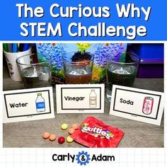 Simple Stem Challenges, Stem Challenges Elementary, Fun Lesson Plans, Student Reflection, The Scientific Method, School Lesson Plans