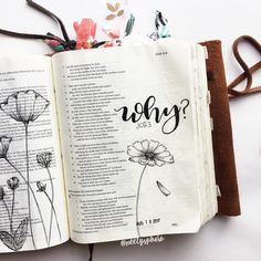 an open bible with flowers on the pages