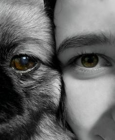 a close up of a person holding a dog's face with their eyes open