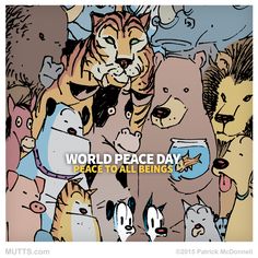 an image of cats and bears with the caption world peace day peace to all beings