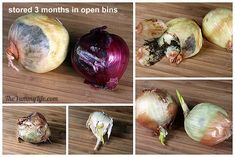 there are several pictures of onions that have been peeled and cut into bite - sized pieces