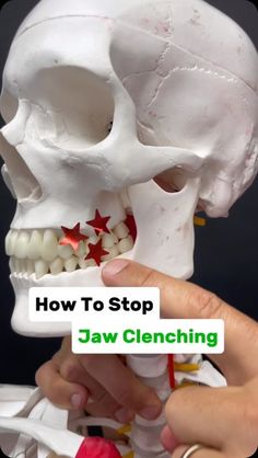 Dr. Joe Damiani - TMJ, Head & Neck Specialist on Instagram: "Comment the word ‘TMJ’ on this post if you need help getting rid of Jaw Pain and I’ll send you my free guide.

Do you clench your teeth? Do you also know that you have postural issues along with potential neck pain, jaw, pain, or upper back stiffness?

Well, this video, I explain how these secondary issues can actually induced clenching in the teeth, and which muscles to stretch/strengthen to get you into a better position, reducing tooth contact.

You see the more freeway space you have or space between the teeth. The less contact occurs, does reducing the desire to clench.

Try out the stretch for your superficial neck flexors and strengthening exercise for the deep neck flexors to start realigning your posture, creating more s Couple Exercises, Headache Relief, Fit Couples