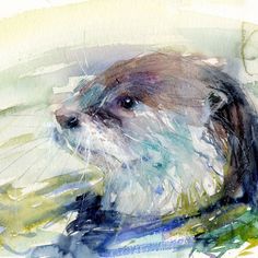 a watercolor painting of a beaver swimming