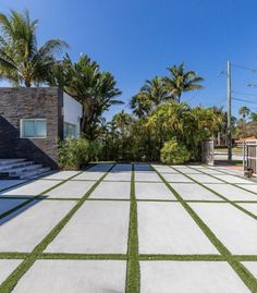 an outdoor area with grass and palm trees in the background, surrounded by concrete tiles