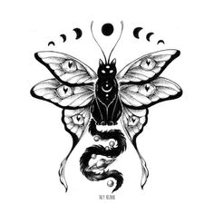 a black and white drawing of a moth with phases on it's wings, in front of the moon