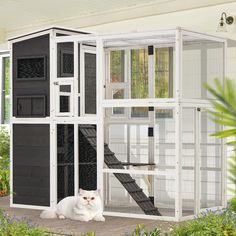 a white cat sitting in front of a black and white house