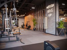 an indoor gym with machines and plants in the corner, along with other equipment on display