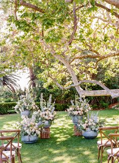 three vases filled with flowers sitting on top of a lush green field next to trees