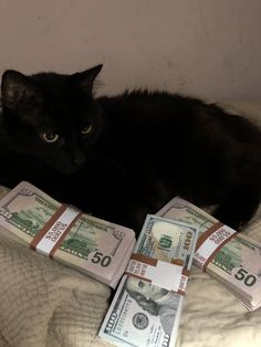 a black cat laying on top of a bed covered in money